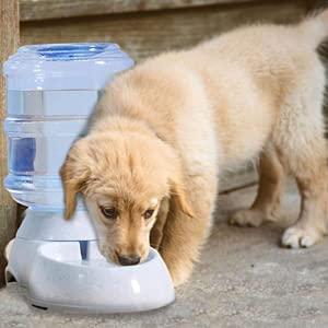 Pet Automatic Water Dispenser