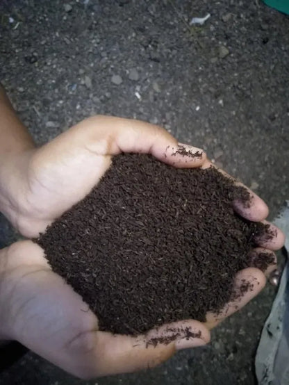Vermicompost Fertilizer for Plants (Pack of 1)